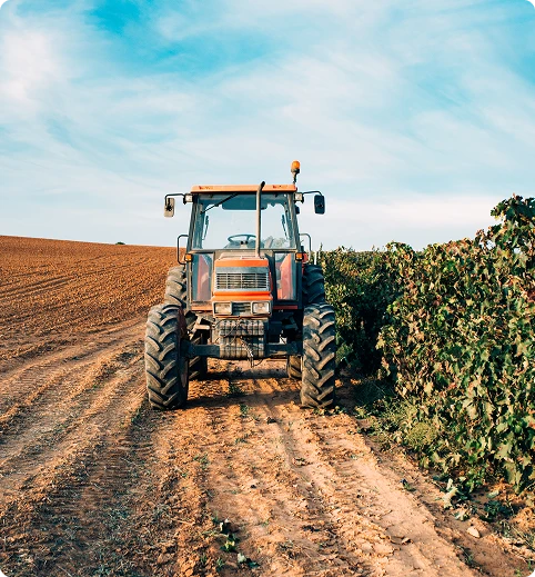 Agricultura